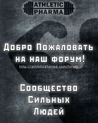 poster forum