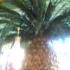 masterkv